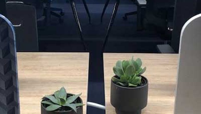 Michael cooke desk plant