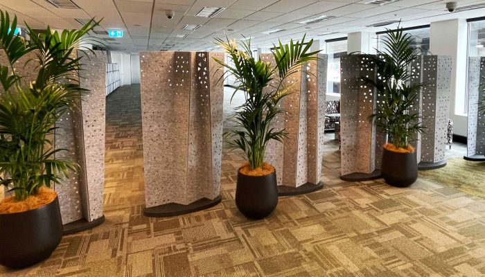 Challenge of Direct Sunlight