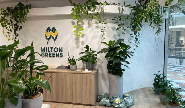 Wilton Greens Plant Hire