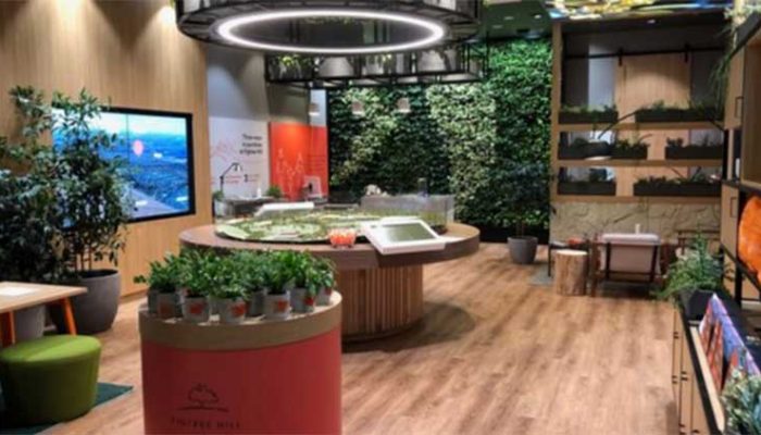 using indoor plants to improve green star rating